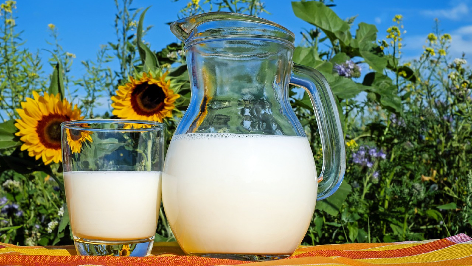 Les meilleures recettes à base de lait